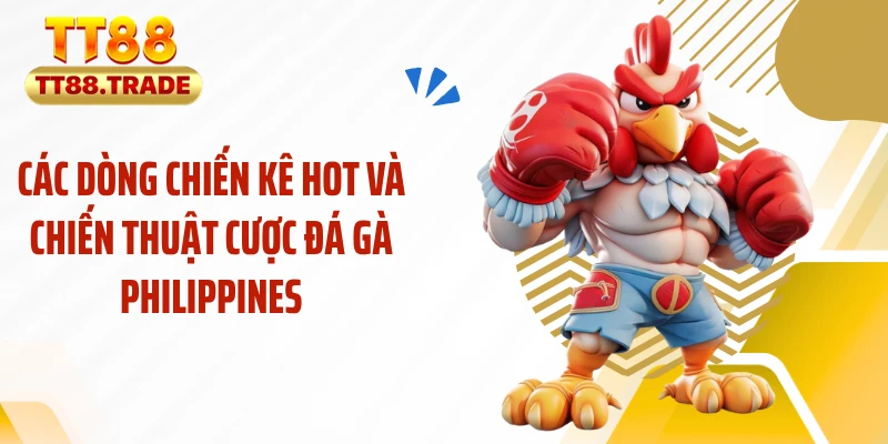 Các dòng chiến kê hot và chiến thuật cược đá gà Philippines
