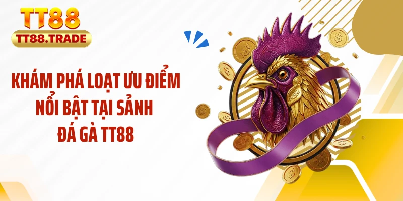 Khám phá loạt ưu điểm nổi bật tại sảnh đá gà TT88