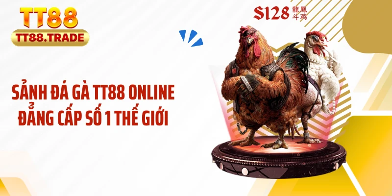 Sảnh đá gà TT88 online đẳng cấp số 1 thế giới