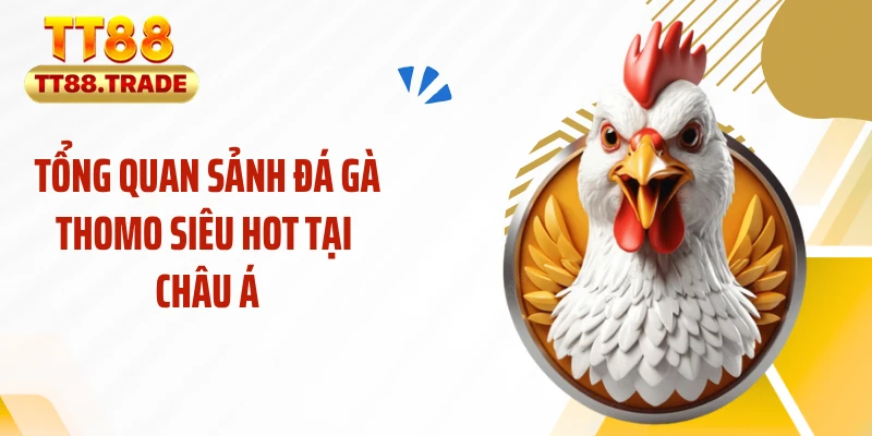 Tổng quan sảnh đá gà Thomo siêu hot tại châu Á