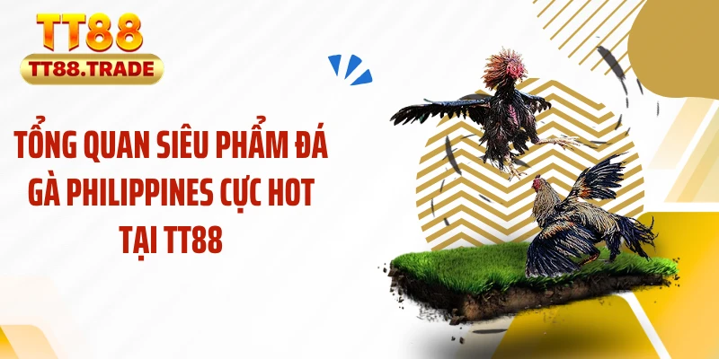 Tổng quan siêu phẩm đá gà Philippines cực hot tại TT88