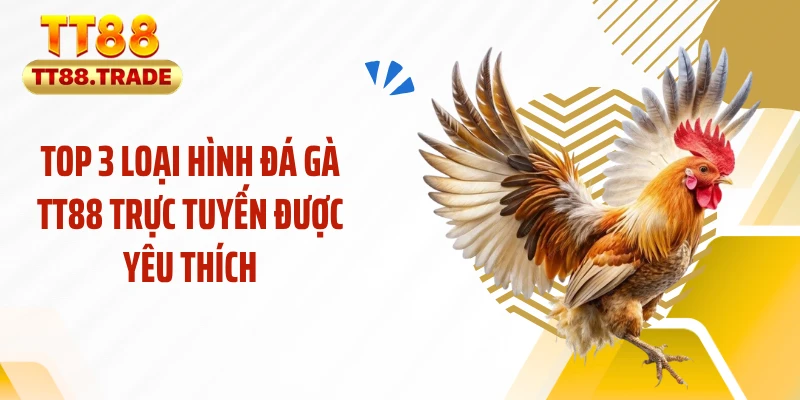 Top 3 loại hình đá gà TT88 trực tuyến được yêu thích